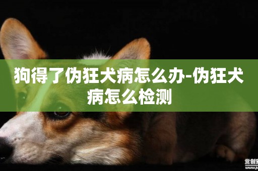 狗得了偽狂犬病怎么辦-偽狂犬病怎么檢測