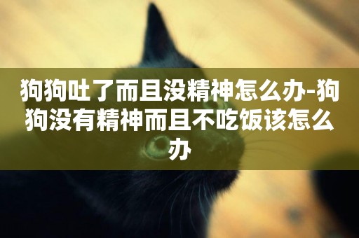 狗狗吐了而且沒精神怎么辦-狗狗沒有精神而且不吃飯該怎么辦