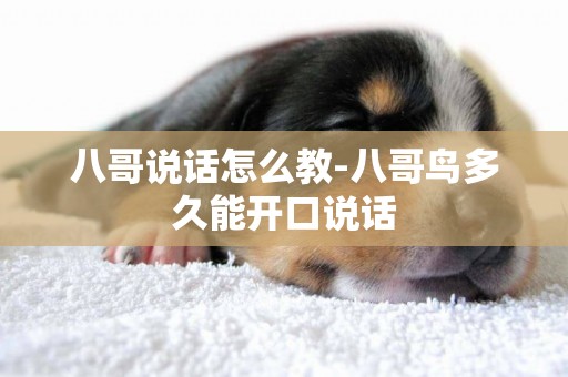 八哥說話怎么教-八哥鳥多久能開口說話
