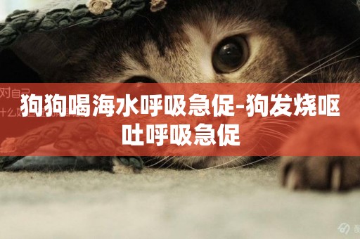 狗狗喝海水呼吸急促-狗發燒嘔吐呼吸急促