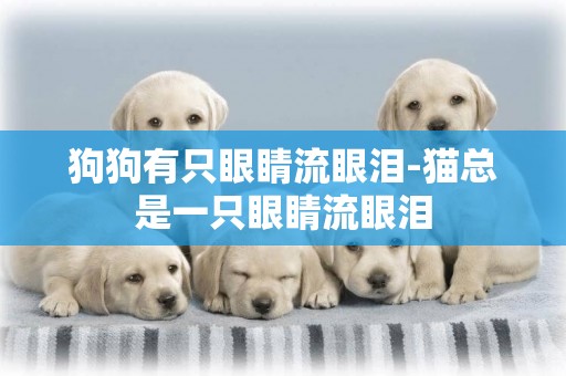 狗狗有只眼睛流眼淚-貓總是一只眼睛流眼淚