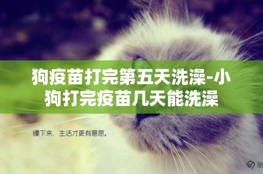 狗疫苗打完第五天洗澡-小狗打完疫苗幾天能洗澡