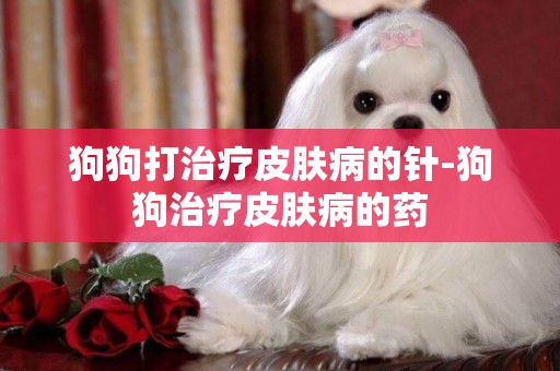 狗狗打治療皮膚病的針-狗狗治療皮膚病的藥