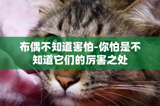 布偶不知道害怕-你怕是不知道它們的厲害之處