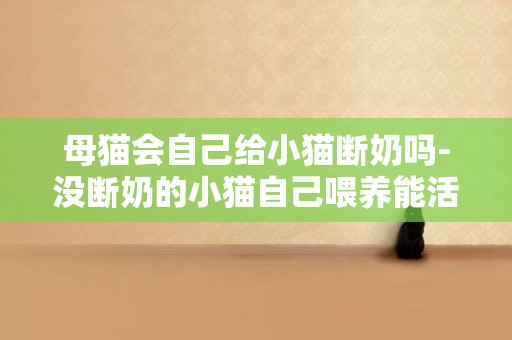 母貓會自己給小貓斷奶嗎-沒斷奶的小貓自己喂養能活嗎