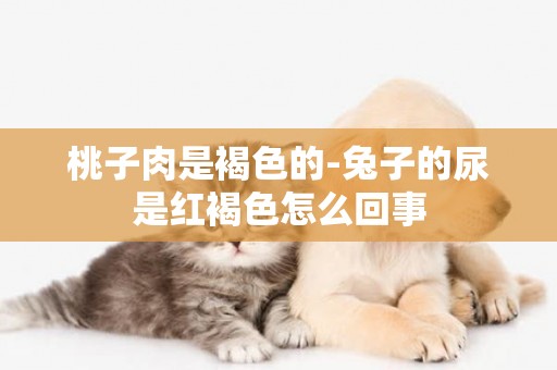 桃子肉是褐色的-兔子的尿是紅褐色怎么回事
