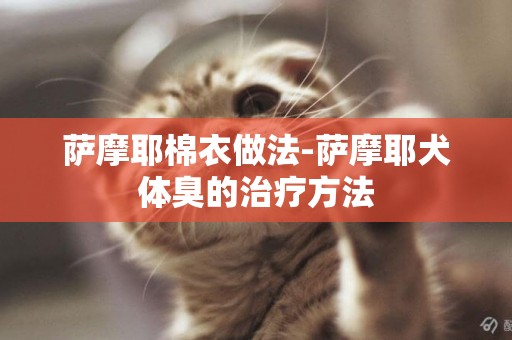 薩摩耶棉衣做法-薩摩耶犬體臭的治療方法