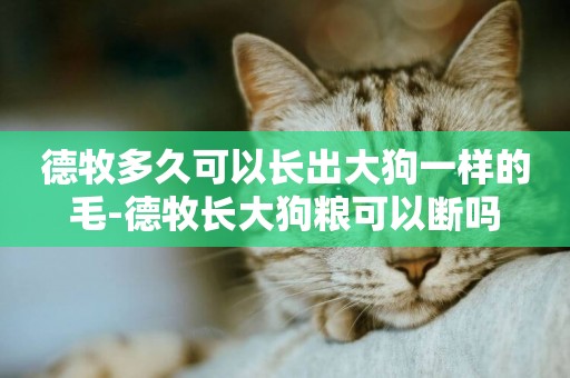 德牧多久可以長出大狗一樣的毛-德牧長大狗糧可以斷嗎