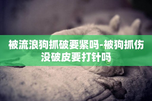 被流浪狗抓破要緊嗎-被狗抓傷沒破皮要打針嗎