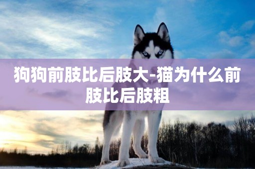 狗狗前肢比后肢大-貓為什么前肢比后肢粗