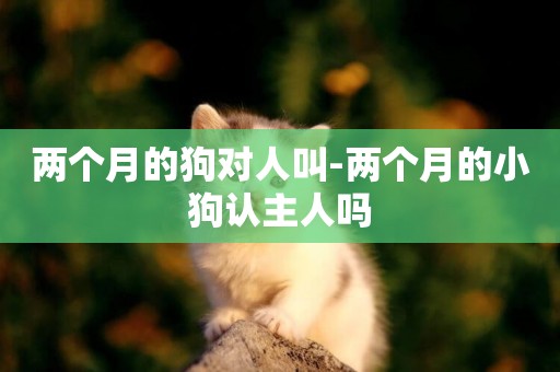 兩個月的狗對人叫-兩個月的小狗認主人嗎