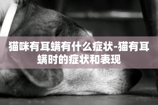 貓咪有耳螨有什么癥狀-貓有耳螨時的癥狀和表現