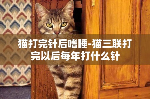 貓打完針后嗜睡-貓三聯打完以后每年打什么針