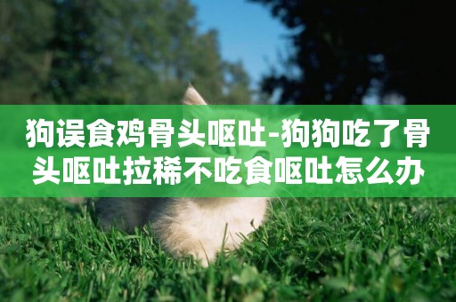 狗誤食雞骨頭嘔吐-狗狗吃了骨頭嘔吐拉稀不吃食嘔吐怎么辦