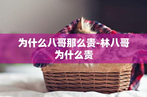 為什么八哥那么貴-林八哥為什么貴