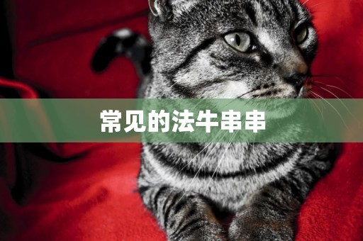 常見的法牛串串