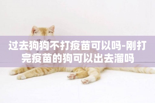 過去狗狗不打疫苗可以嗎-剛打完疫苗的狗可以出去溜嗎