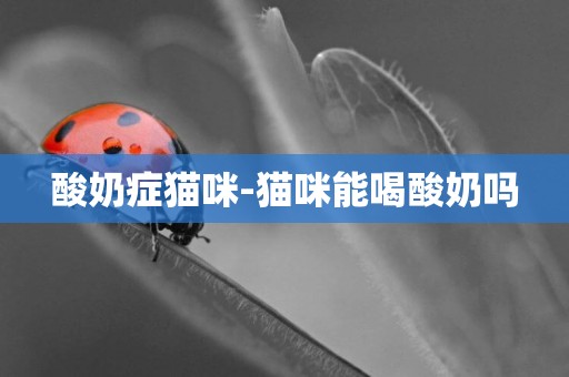 酸奶癥貓咪-貓咪能喝酸奶嗎