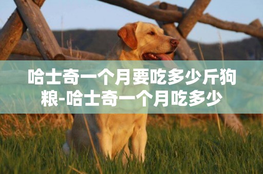 哈士奇一個月要吃多少斤狗糧-哈士奇一個月吃多少