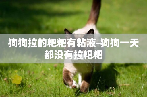 狗狗拉的粑粑有粘液-狗狗一天都沒有拉粑粑