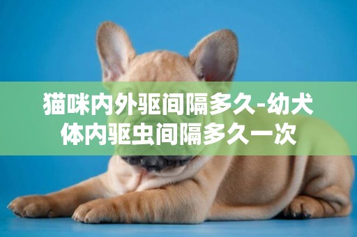 貓咪內外驅間隔多久-幼犬體內驅蟲間隔多久一次