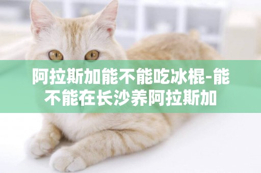 阿拉斯加能不能吃冰棍-能不能在長沙養阿拉斯加