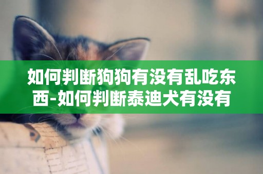 如何判斷狗狗有沒有亂吃東西-如何判斷泰迪犬有沒有中暑