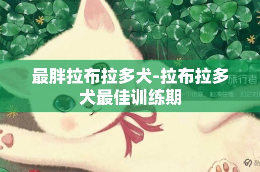 最胖拉布拉多犬-拉布拉多犬最佳訓練期