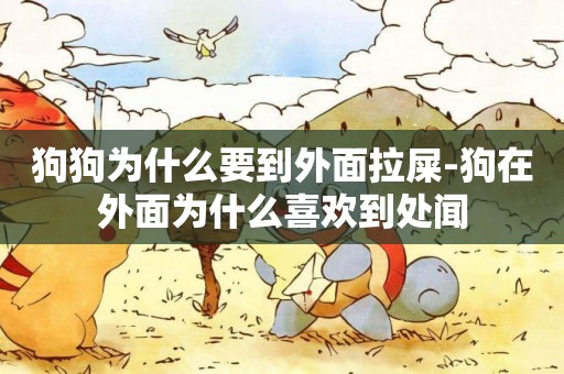 狗狗為什么要到外面拉屎-狗在外面為什么喜歡到處聞