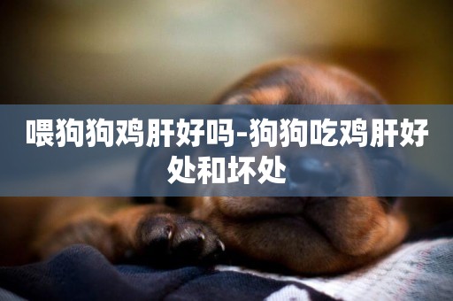 喂狗狗雞肝好嗎-狗狗吃雞肝好處和壞處