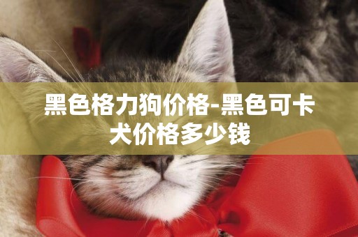 黑色格力狗價格-黑色可卡犬價格多少錢