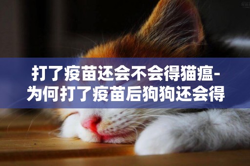 打了疫苗還會不會得貓瘟-為何打了疫苗后狗狗還會得傳染病