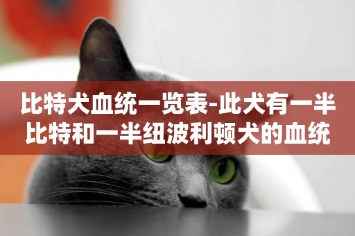 比特犬血統一覽表-此犬有一半比特和一半紐波利頓犬的血統