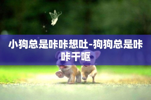 小狗總是咔咔想吐-狗狗總是咔咔干嘔