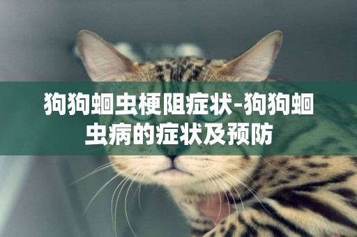 狗狗蛔蟲梗阻癥狀-狗狗蛔蟲病的癥狀及預防