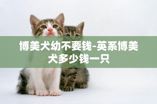 博美犬幼不要錢-英系博美犬多少錢一只