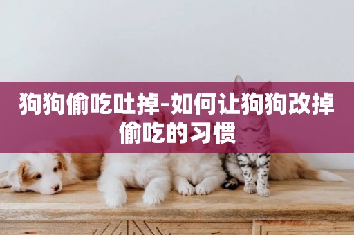 狗狗偷吃吐掉-如何讓狗狗改掉偷吃的習慣