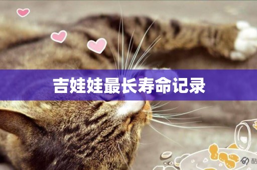 吉娃娃最長壽命記錄