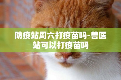 防疫站周六打疫苗嗎-獸醫站可以打疫苗嗎
