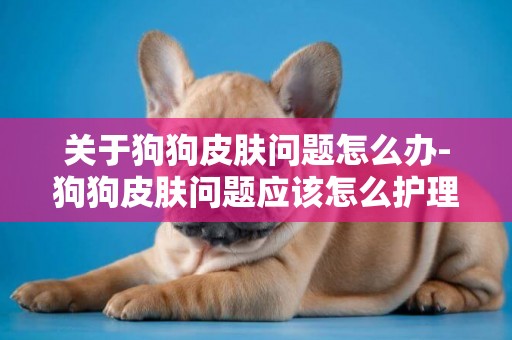 關于狗狗皮膚問題怎么辦-狗狗皮膚問題應該怎么護理