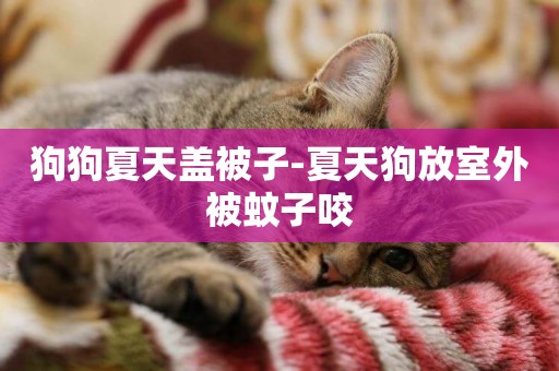 狗狗夏天蓋被子-夏天狗放室外被蚊子咬