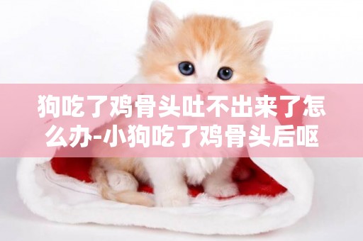 狗吃了雞骨頭吐不出來了怎么辦-小狗吃了雞骨頭后嘔吐不吃飯怎么辦