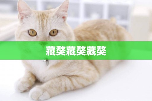 藏獒藏獒藏獒
