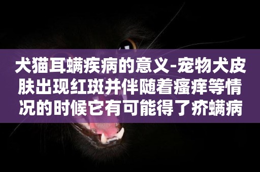 犬貓耳螨疾病的意義-寵物犬皮膚出現紅斑并伴隨著瘙癢等情況的時候它有可能得了疥螨病