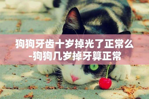 狗狗牙齒十歲掉光了正常么-狗狗幾歲掉牙算正常