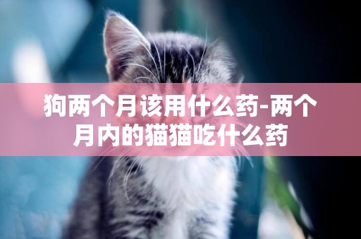 狗兩個月該用什么藥-兩個月內的貓貓吃什么藥