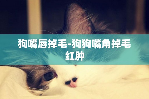 狗嘴唇掉毛-狗狗嘴角掉毛紅腫