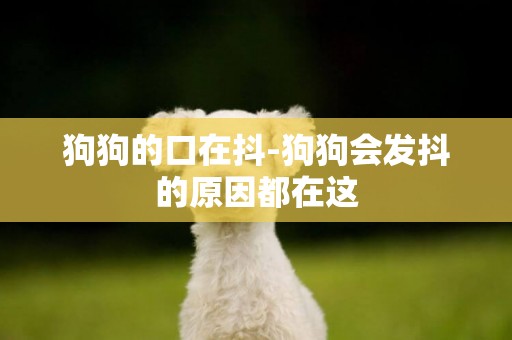 狗狗的口在抖-狗狗會發抖的原因都在這