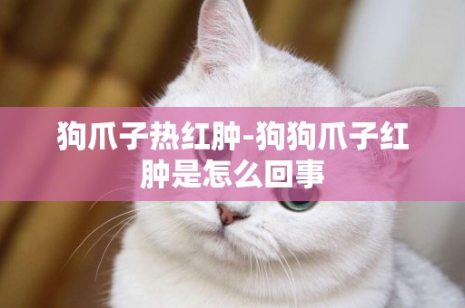 狗爪子熱紅腫-狗狗爪子紅腫是怎么回事