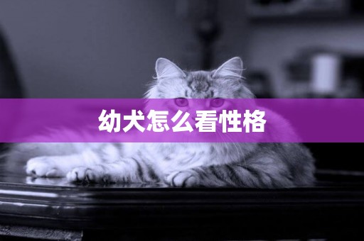 幼犬怎么看性格
